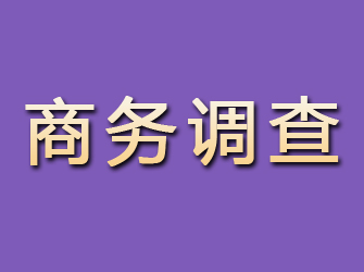 利川商务调查